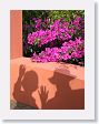 Xandari - 11 * Shadow photo * Shadow photo